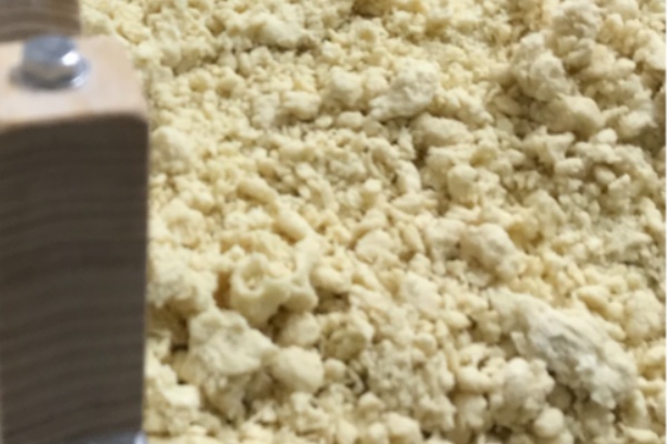 イロドリオタヨリ