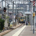 新しいレオライナーに乗る