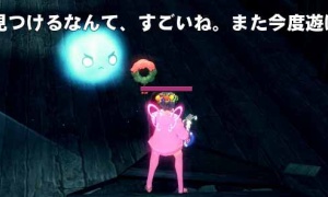 ???「私を見つけるなんて、すごいね。また今度遊ぼう！」