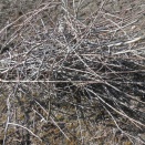 260228『冬の最後に。』