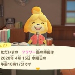 あつまれ どうぶつの森 ～無人島開拓記録～