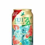 『【期間限定】この夏、ふたつのごほうび「翠ジンソーダ缶〈グレープフルーツ＆トニック〉」「同〈レモン＆ジンジャー〉」』の画像