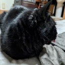 うるちゃん　と　かえでちゃん