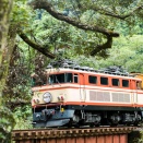 10月の川根路　E32電気機関車2選