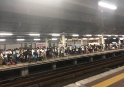 【悲報】京葉線運休決定で大量の乃木坂ファンが駅に残されるｗｗｗｗ