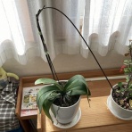 ひでじの手作りオーディオ