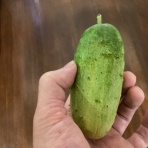 かえるのひとりごと