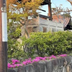 南坊園のブログ