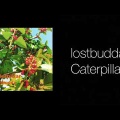 ニューアルバム caterpillar