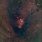 『QBPフィルターによるクリスマスツリー星雲付近＆CP+展示品セール　　2019/03/15』の画像