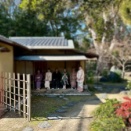 令和8年 お初釜 2日目 ＊ 表千家茶道教室