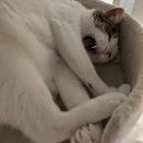 成長したのかなー