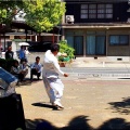 今回は、5/17(日)に「第59回〝福山ばら祭2026〟」行きのGONsanでした(^.-)☆(02)