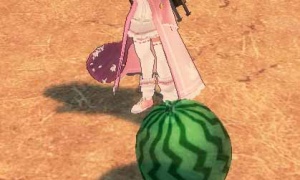 おしゃもじでスイカを叩けるのか！！