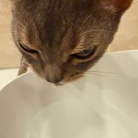 鼻低っ！
