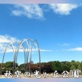秋空の光が丘公園
