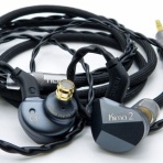 bisonicr keep walking.