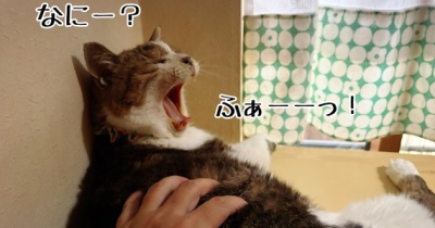 なんか早くない？季節の変わり目？