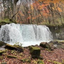 論文「投資経験」は投資能力の向上につながるのか？結論、