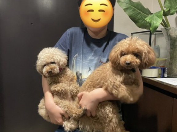姪家族と癒しパワー
