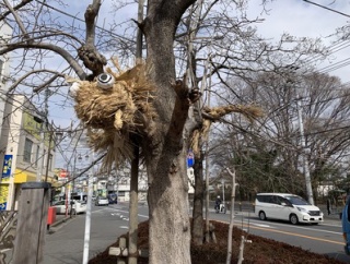 千葉県松戸市、柳原水閘と国分台の辻切り
