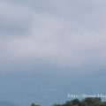 アスチルベ