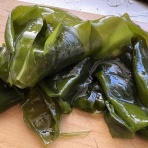 キルトから世界へ