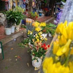 ハノイでまったり生きてます(ΦωΦ)