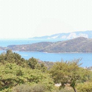 岡山県瀬戸内市牛窓町の      栄町ヤマト漢方薬局さん      『漢方薬店頭症例集』