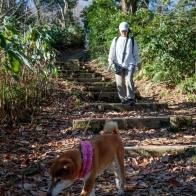 呉羽山ハイキング