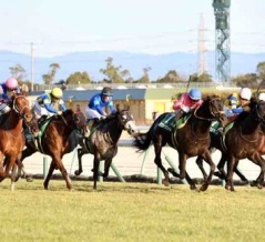 【京都金杯・中山金杯2026予想〜新年のご挨拶〜】