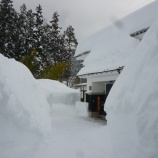 『今日のゆっ蔵』の画像