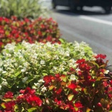 �ء�ī�Τ������ۼ��Υ����뱫���������ָ��Ļ����ʿ���˥ϥ����ɥޥåספȡ��ڤΤ����ơ����������򤴳�ǧ���������٤β���