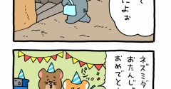 スキネズミ「メンバーのために」