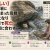 【痛ましい】海辺の岩に頭が挟まった母親、満潮になり娘の前で死亡…救助間に合わず