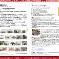 ホリゾンタルアレンジ(5)/家元エリ子の生涯学習市民講座KAFAC