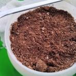 オオクワガタの常温飼育記録