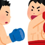 『格闘技ってヘビー級以外見なくてよくね？』の画像