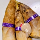 木260430  たけのこ3本