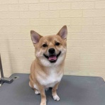 ペットショップワンラブ 名古屋守山インター総本店 スタッフブログ