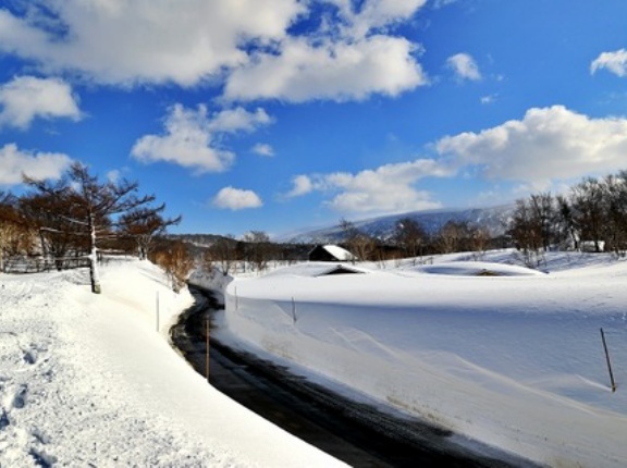 「わざわざなんで」「大変って分かってるのに」豪雪地帯に住んでるのはなぜ？雪の降らない地方の人からの素朴な疑問
