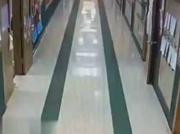 【自由だ～！】 学校の廊下で何かが動いていた。ころころころ♪ → ハムスター、脱走です…