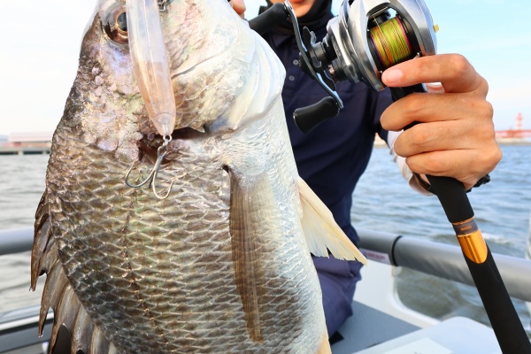 TOKYOBAY FISHING GUIDE SERVICE Glory(グローリーフィッシング)