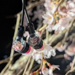 slow AUDIO，slow LIFE