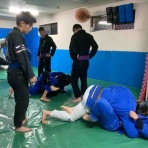 ブラジリアン柔術 修斗 総合格闘技道場 パラエストラ和泉blog
