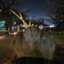 あかり灯る夜散歩