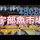رԾͤǤ٤β