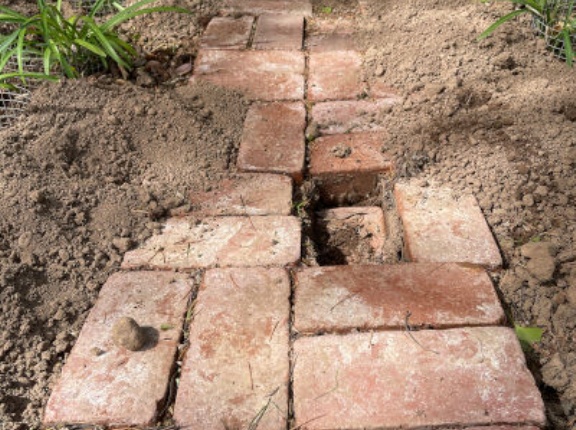 本当に腹が立つ