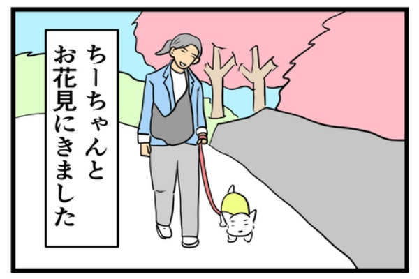 ちーちゃんっ🐾 - ちーちゃんと公園のお話