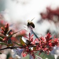 人の視点・虫の視点